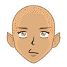 Draolteerview