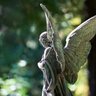 angel of Love