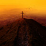BrokenheartedDisciple