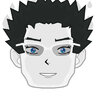 Asteerlain