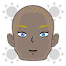 Bluerfoerser