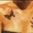 Butterfly2019