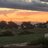 Mymoor