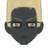 Ashwin
