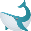 Whale :whale2: 🐋