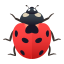 🐞