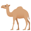 🐪