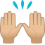 Raising hands: medium-light skin tone :raised_hands_tone2: 🙌🏼