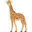 🦒