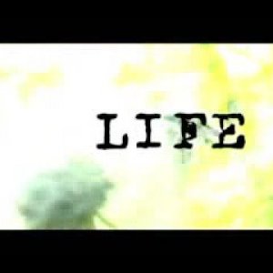 Everything - Tim Hughes