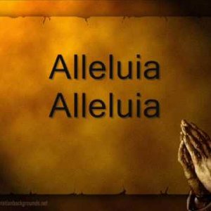 Agnus Dei by Michael W. Smith with lyrics
