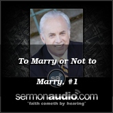 To Marry or Not to Marry, #1