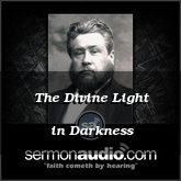 The Divine Light in Darkness