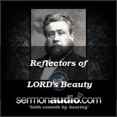 Reflectors of LORD's Beauty