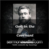 God in the Covenant