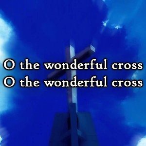 Chris Tomlin & Matt Redman - The Wonderful Cross (Lyrics)