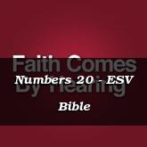 Numbers 20 - ESV Bible
