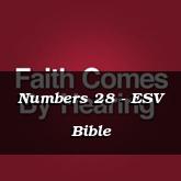 Numbers 28 - ESV Bible