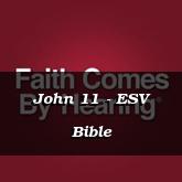 John 11 - ESV Bible