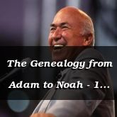 The Genealogy from Adam to Noah - 1 Chronicles 1:1 - C3124A