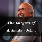 The Largest of Animals - Job 40:15 - C3168B