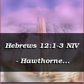Hebrews 12:1-3 NIV - Hawthorne [Inspirational]
