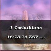 1 Corinthians 16:13-14 ESV - Hawthorne [Celtic Jazz]