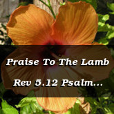 Praise To The Lamb Rev 5.12 Psalm 119.103 105