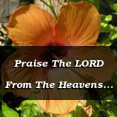 Praise The LORD From The Heavens Psalm 148.1-4