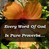 Every Word Of God Is Pure Proverbs 30.5 6