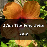 I Am The Vine John 15.5