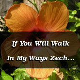 If You Will Walk In My Ways Zech 3.7