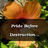 Pride Before Destruction Proverbs 16.18