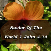 Savior Of The World 1 John 4.14