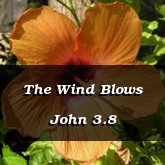 The Wind Blows John 3.8