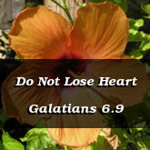 Do Not Lose Heart Galatians 6.9