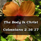 The Body Is Christ Colossians 2.16 17