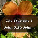 The True One 1 John 5.20 John 17.3