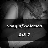 Song of Solomon 2:3-7