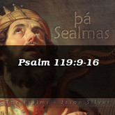 Psalm 119:9-16