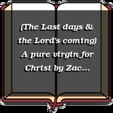 (The Last days & the Lord's coming) A pure virgin for Christ