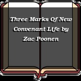 Three Marks Of New Convenant Life