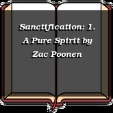 Sanctification: 1. A Pure Spirit