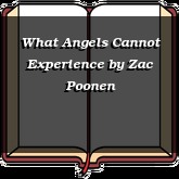 What Angels Cannot Experience
