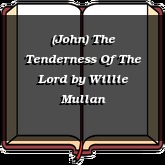 (John) The Tenderness Of The Lord