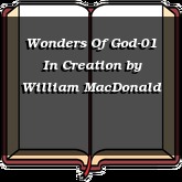 Wonders Of God-01 In Creation