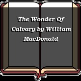 The Wonder Of Calvary