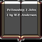 Fellowship 1 John 1