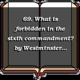 69. What is forbidden in the sixth commandment?