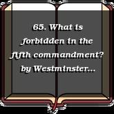 65. What is forbidden in the fifth commandment?